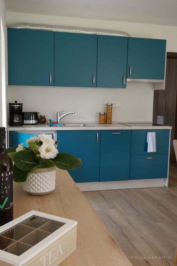 Apartmán Hisa Lenart *