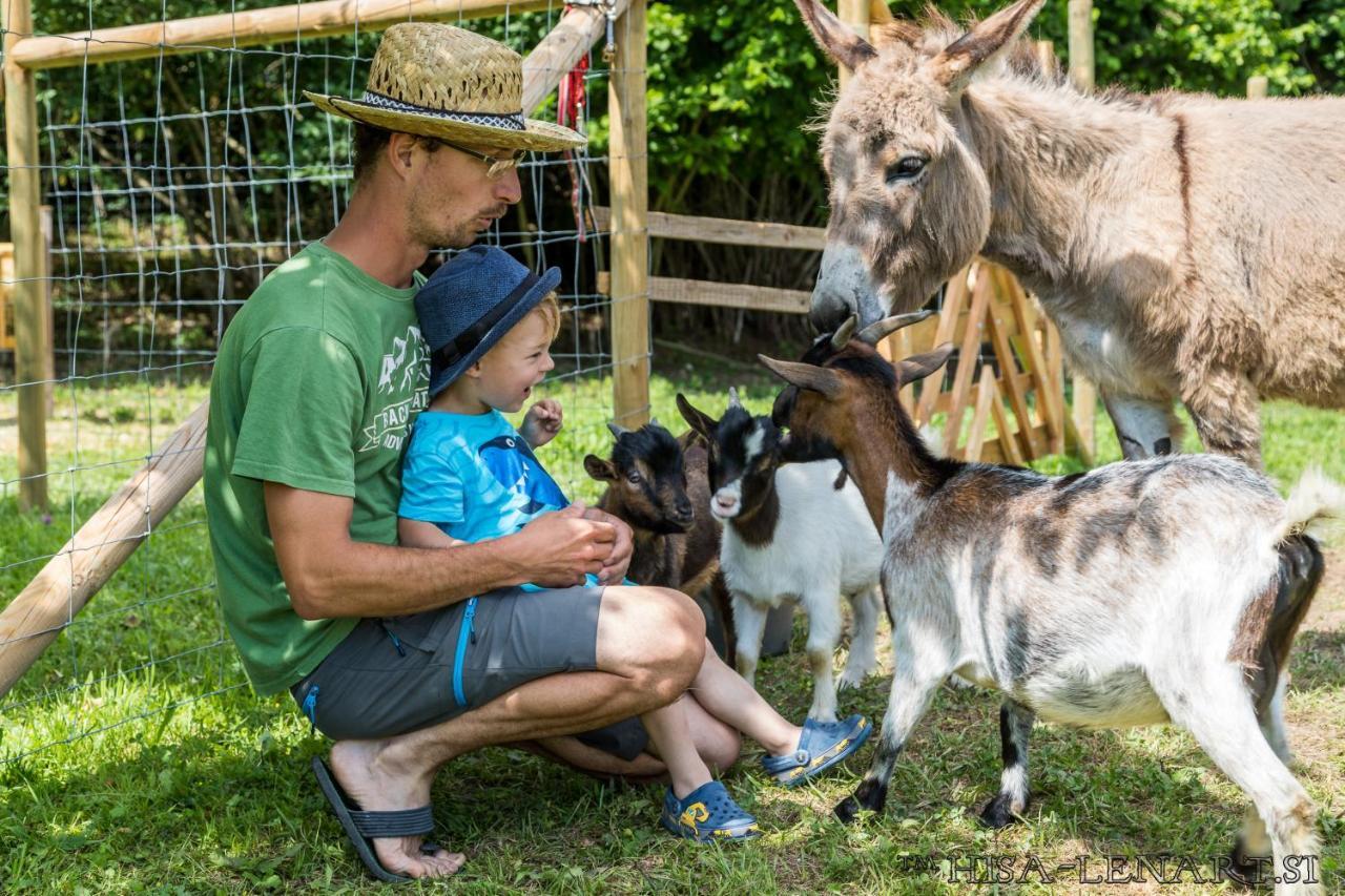 Hisa Lenart Tolmin