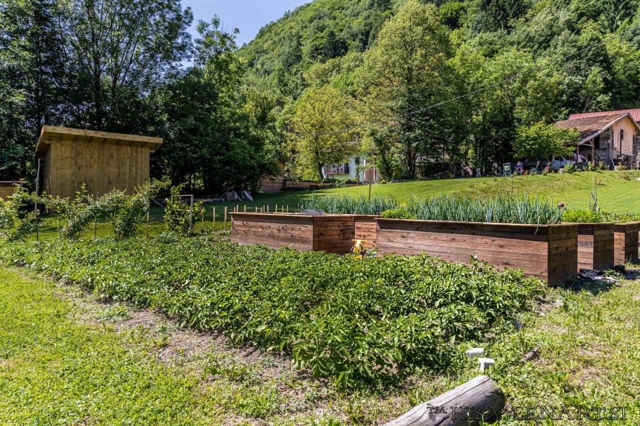 Hisa Lenart * Tolmin