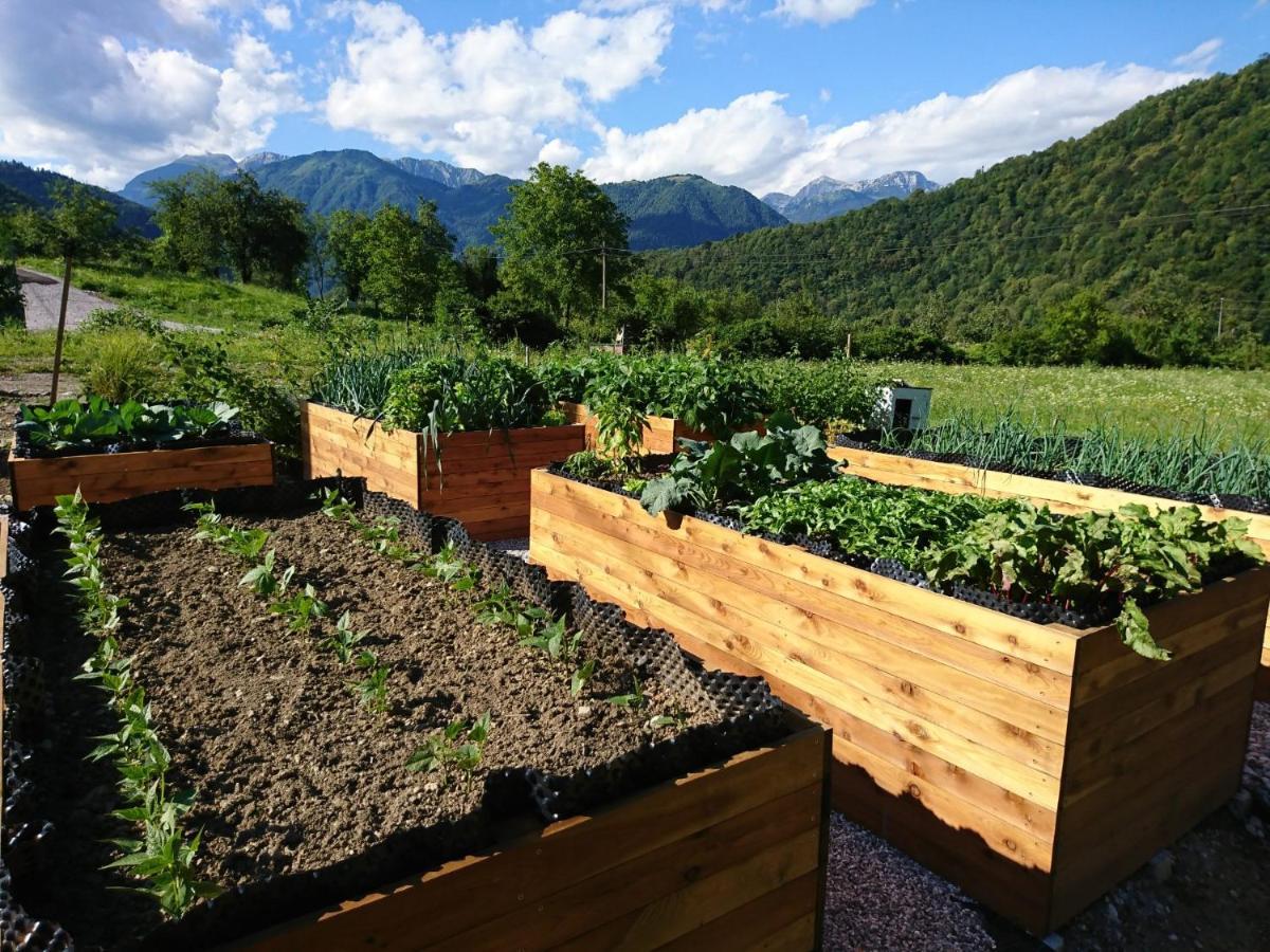 Hisa Lenart * Tolmin