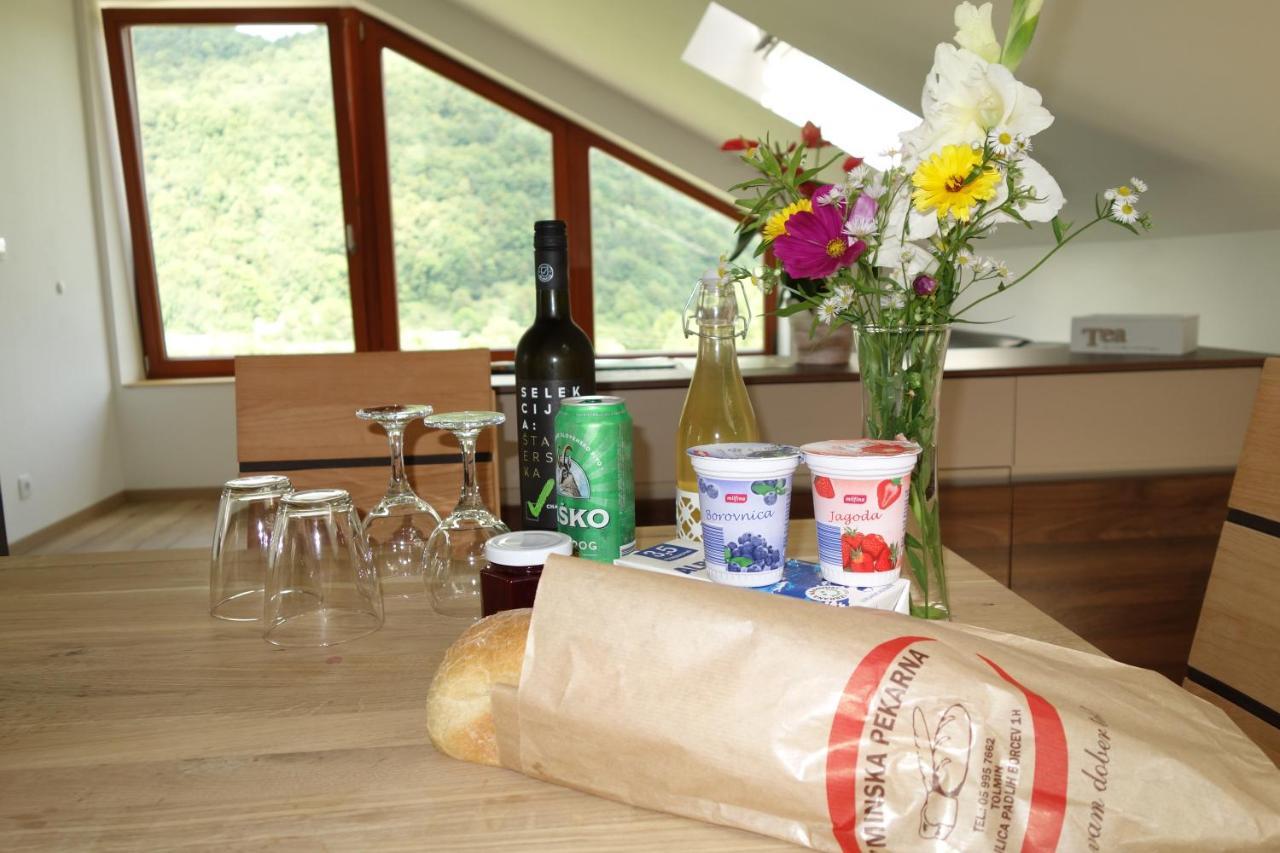 Hisa Lenart Apartmán Tolmin