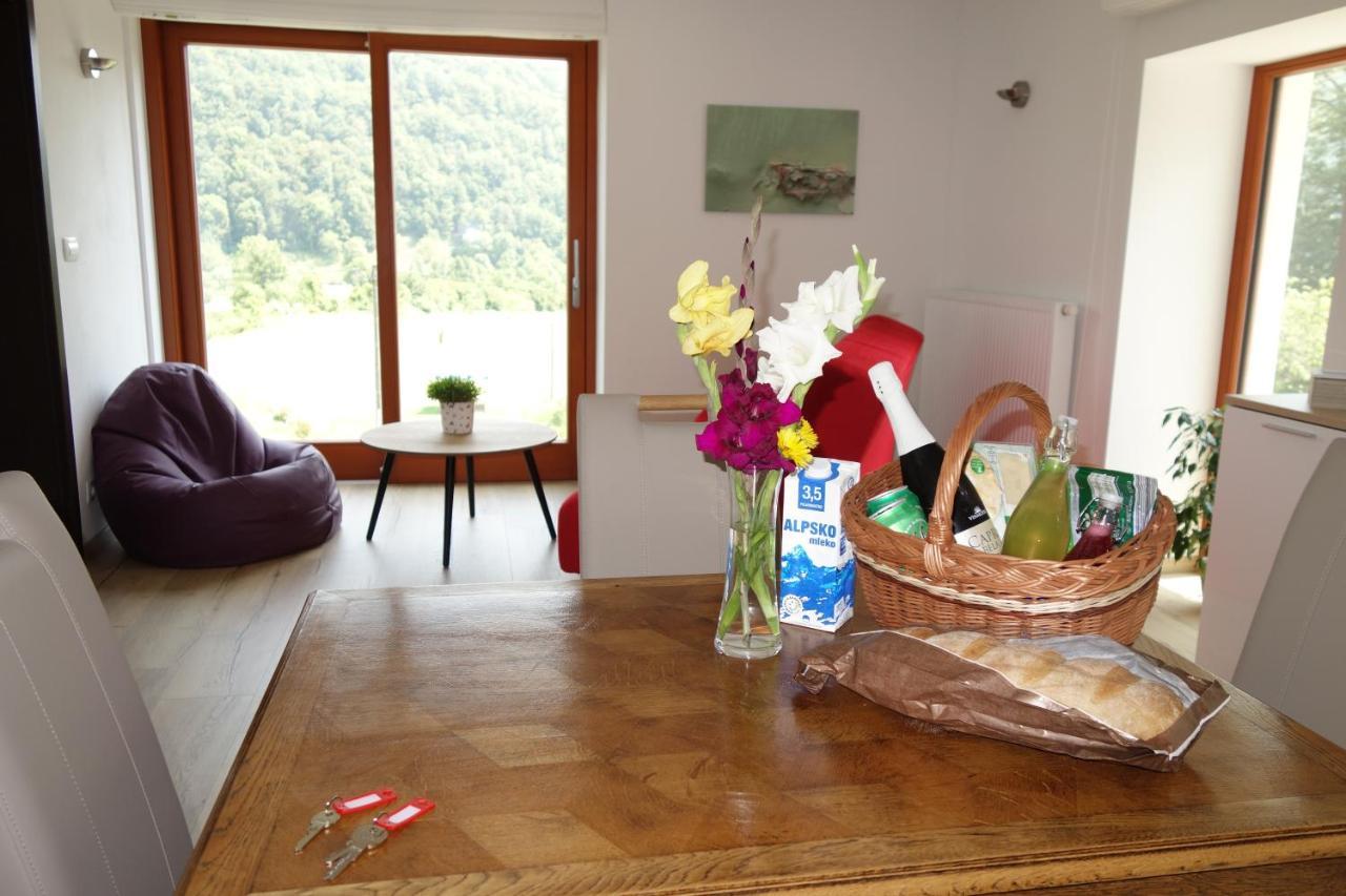 Hisa Lenart Apartmán *