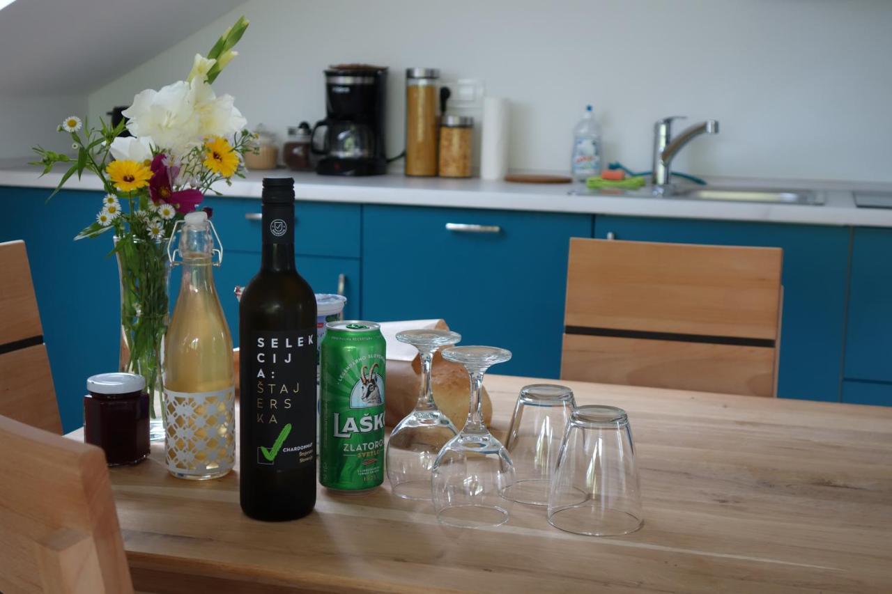 Hisa Lenart Apartmán Tolmin
